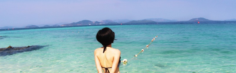 STAY JAPAN(XeCWp)TCg